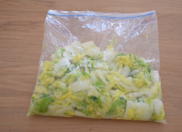 白菜の冷凍と解凍方法と塩漬け後の状態で冷凍する