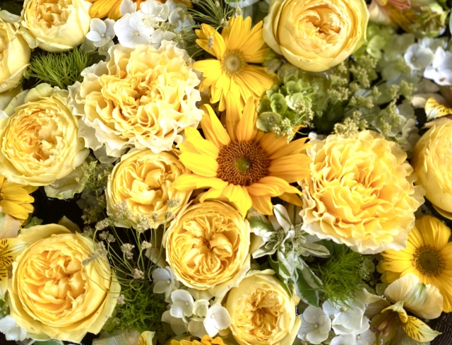 父の日におすすめの定番プレゼント：父の日の花と言えば黄色い薔薇の花とひまわり