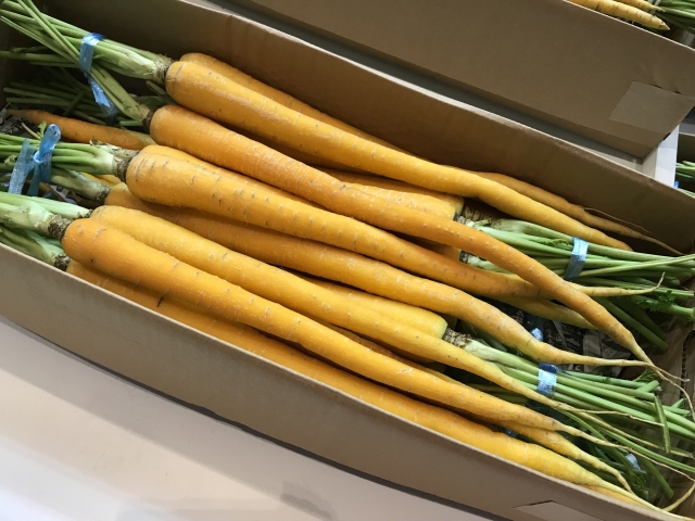 島ニンジンとは、沖縄で栽培される１１月ごろが旬の野菜