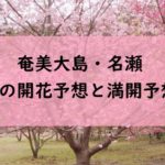 【2024】奄美大島・名瀬の桜開花予想と桜満開予想情報！桜の咲く時期はいつから？