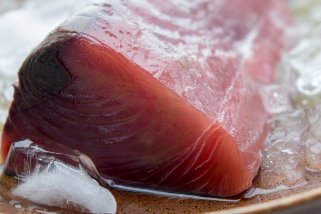 アニサキスがいる魚の種類：カツオ（今後は注意が必要な魚）