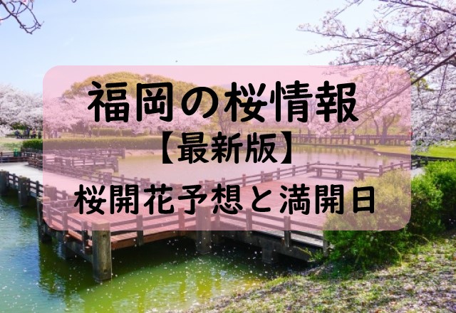 【2024】福岡の桜開花予想と桜満開予想情報！福岡の桜満開はいつ？開花時期は？