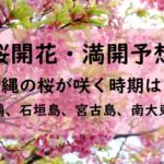 【2024】沖縄の桜開花予想と桜満開予想情報！那覇・石垣島・宮古島はいつから？