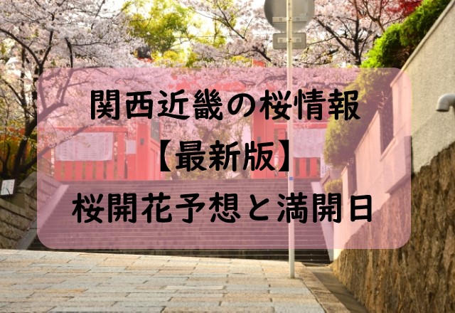 【2024】関西・近畿の桜開花予想と桜満開予想情報！奈良・神戸・彦根はいつから？