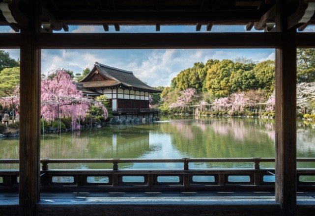 京都の桜の名所：平安神宮の見頃の時期は『3月下旬～4月上旬』