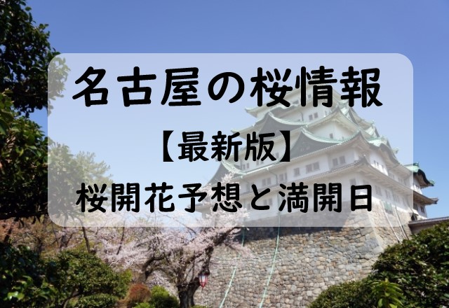 【2024】名古屋の桜開花予想と桜満開予想！名古屋の桜開花状況！桜の時期はいつ？