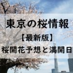 【2024】東京の桜開花予想と桜満開予想情報！東京の桜開花状況と桜が咲く時期