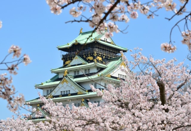 大阪の桜の名所：大阪城の桜の見頃の時期は『3月下旬～4月上旬』