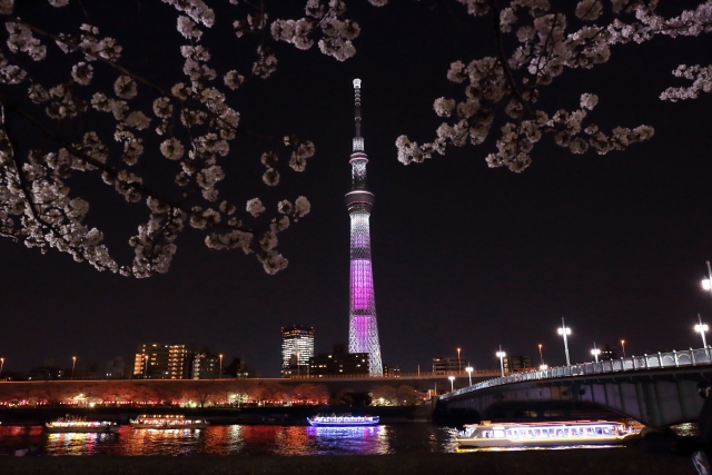 東京の桜の名所ランキング：浅草出発の屋形船の見頃の時期は4月上旬