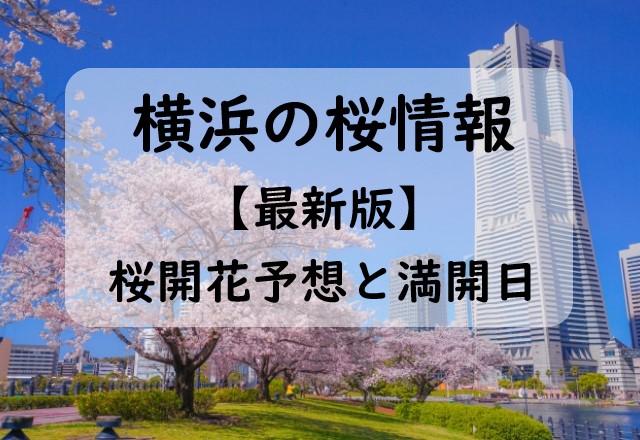 【2024】横浜の桜開花予想と桜満開予想情報！横浜の桜開花状況＋桜の見ごろ時期