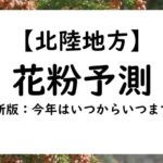 【2024年】新潟・富山・福井県の花粉情報！花粉予測と予報！いつからいつまで？