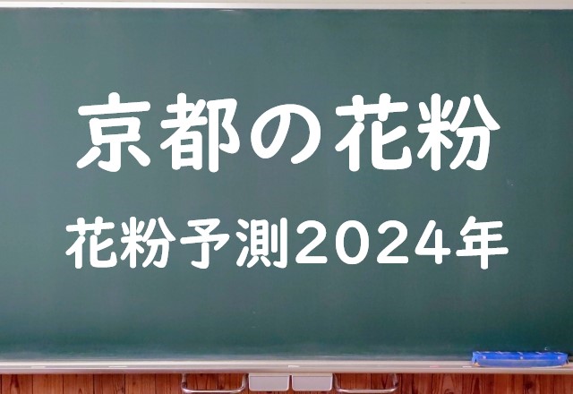 【2024年】京都の花粉の予測情報！スギ・ヒノキの飛散状況はいつからいつまで？