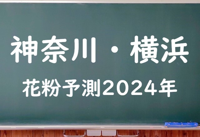 【2024年】横浜の花粉の予測情報！スギ・ヒノキの飛散状況はいつからいつまで？