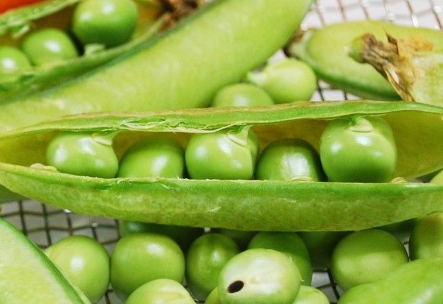 豆ご飯の定番の豆：エンドウ豆とグリーンピースの味と食感の違いとは？