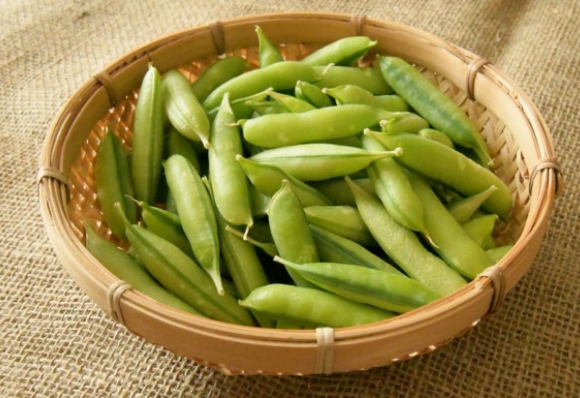 豆ご飯に合うエンドウ豆の品種：うすいえんどう（和歌山県産）