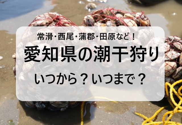 【2024年】愛知県の潮干狩りの時期はいつからいつまで？愛知の潮見表と時間は？