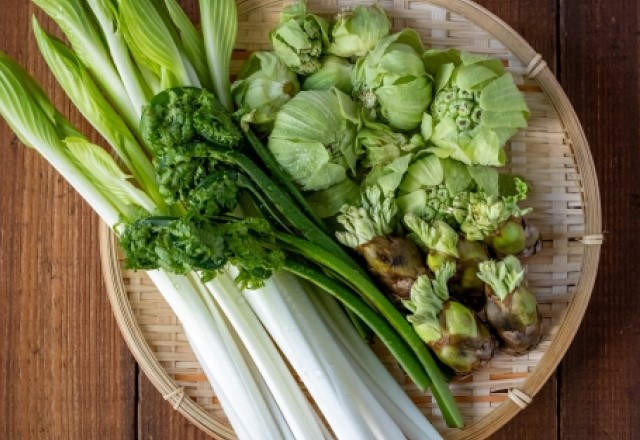 山菜の種類別：山菜の日持ちと賞味期限はどのくらい？（ふき、こごみ、わらび等）