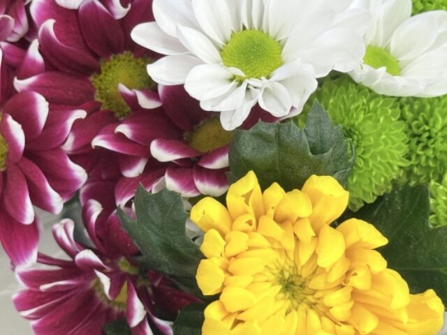 意味があるお盆の花といえば『百合』