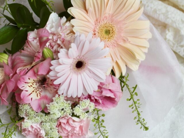 敬老の日の定番の花と言えばガーベラ:花言葉は『元気』