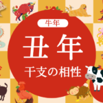【牛年】丑年と相性の良い干支と悪い干支（2026年度版:うしどし）