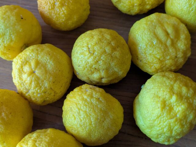 冬至の日のお風呂の入り方（ゆず風呂）