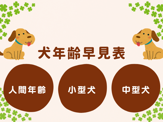 【犬の年齢】人間換算した犬年齢早見表！小型犬トイプードルやチワワの年齢計算