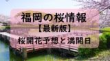 【2024】福岡の桜開花予想と桜満開予想情報！福岡の桜満開はいつ？開花時期は？