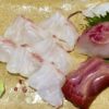 白身魚の刺身は冷凍できる？鯛やブリの刺身の冷凍保存！お刺身の日持ちと解凍方法
