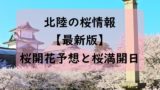 【2024】北陸の金沢・富山・福井・新潟の桜開花予想と桜満開予想情報！桜開花状況