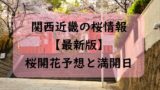 【2024】関西・近畿の桜開花予想と桜満開予想情報!奈良・神戸・彦根はいつから?
