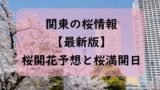 【2024】関東の千葉・埼玉・茨城の桜開花予想と桜満開予想情報！関東の桜開花状況