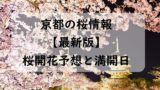 【2024年】京都の桜開花予想と桜満開予想情報！京都に桜が咲く時期と見頃はいつ？