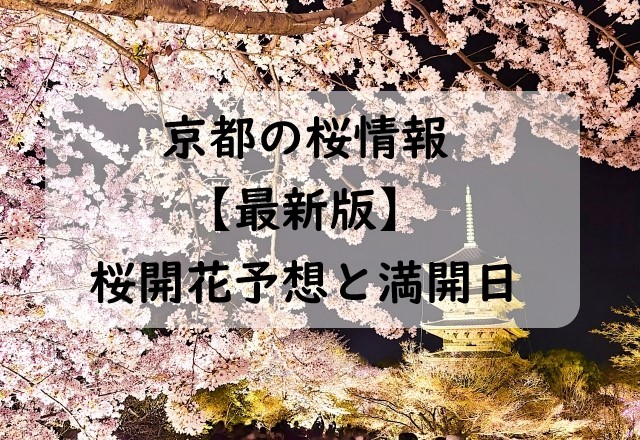 【2024年】京都の桜開花予想と桜満開予想情報！京都に桜が咲く時期と見頃はいつ？