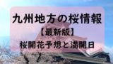 【2024】九州の桜開花予想と桜満開予想情報！長崎・熊本・鹿児島の時期はいつ？