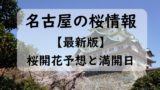 【2024】名古屋の桜開花予想と桜満開予想！名古屋の桜開花状況！桜の時期はいつ？
