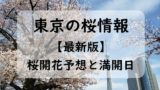 【2024】東京の桜開花予想と桜満開予想情報！東京の桜開花状況と桜が咲く時期