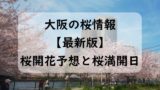 【2024年】大阪の桜開花予想と桜満開予想情報！大阪に桜が咲く時期と見頃はいつ？