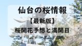 【2024】仙台・宮城の桜開花予想と桜満開予想情報！仙台の桜開花状況＋見ごろ時期