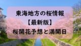 【2024】東海地方の桜開花予想と桜満開予想情報!愛知・岐阜・三重・静岡はいつ?