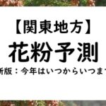 【2024年】関東の千葉・埼玉県の花粉情報！花粉予測と予想！いつからいつまで？
