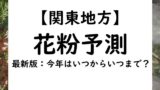 【2024年】関東の千葉・埼玉県の花粉情報！花粉予測と予想！いつからいつまで？