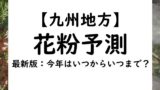 【2024年】九州の熊本・鹿児島の花粉情報！花粉予測と予報！いつからいつまで？