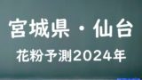 【2024年】金沢の花粉の予測情報！スギ・ヒノキの飛散状況はいつからいつまで？