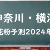 【2024年】横浜の花粉の予測情報！スギ・ヒノキの飛散状況はいつからいつまで？