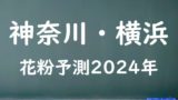 【2024年】横浜の花粉の予測情報！スギ・ヒノキの飛散状況はいつからいつまで？