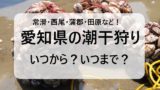 【2026年】愛知県の潮干狩りの時期はいつからいつまで?愛知の潮見表と時間