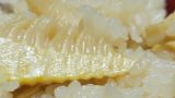 【味の素3合】たけのこご飯の人気レシピ！しっかり濃いめの味付けの絶品の作り方