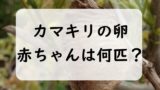 カマキリの卵に何匹の赤ちゃんがいる?いつ産む?カマキリの卵の孵化時期を解説!