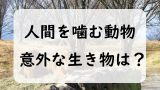 人間を噛む意外な動物と生き物！指が襲われる！動物園や水族館の飼育員だけじゃない！
