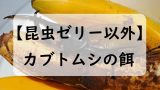 【昆虫ゼリー以外】カブトムシの餌の代用にオススメ!家にあるものでエサになるもの